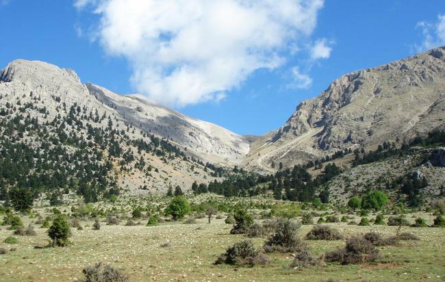 Il monte Ziria in Grecia.