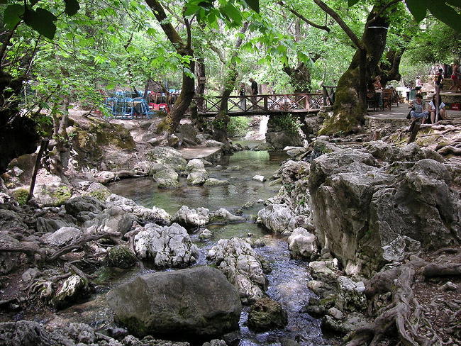 Bosco delle sette fonti a Rodi.