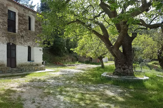 I dintorni freschi e verdeggianti del monastero di Mounte Evaggelismos.