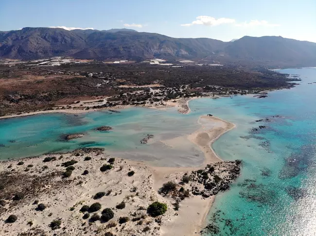 La natura circostante la spiaggia, ricca di specie vegetali e animali.