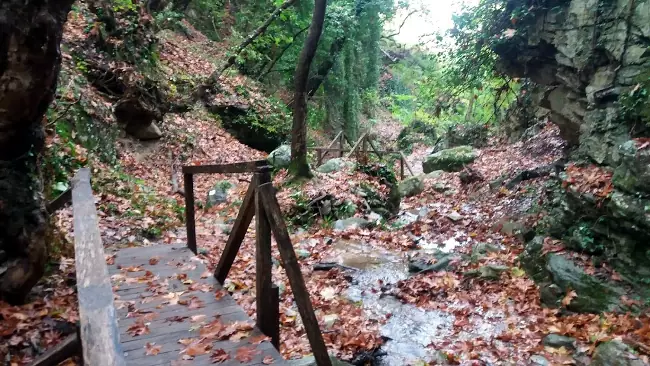 Il sentiero dei Centauri nel bosco vicino Volos.