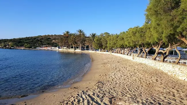 La spiaggia di Agia Irini a Paros con le caratterische palme.